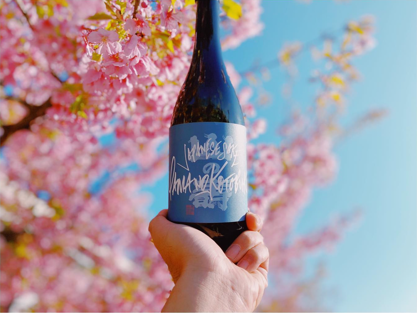 山の寿 Japanese Sake Yamanokotobuki 720ml